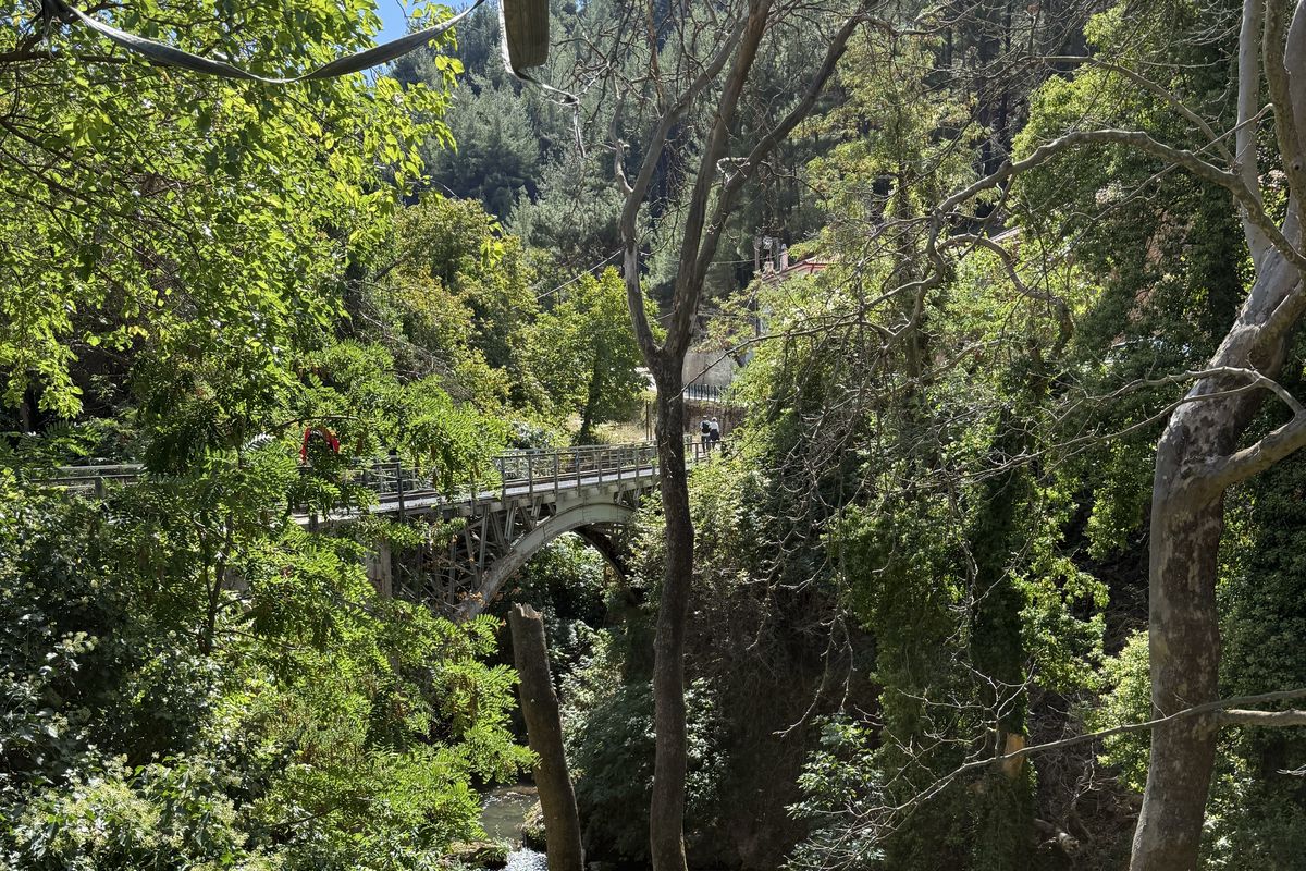 Το φαράγγι του Βουραϊκού: η πέτρινη τοξωτή γέφυρα πάνω από το ποτάμι, μέσα στην πυκνή βλάστηση.